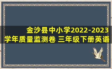 金沙县中小学2022-2023学年质量监测卷 三年级下册英语